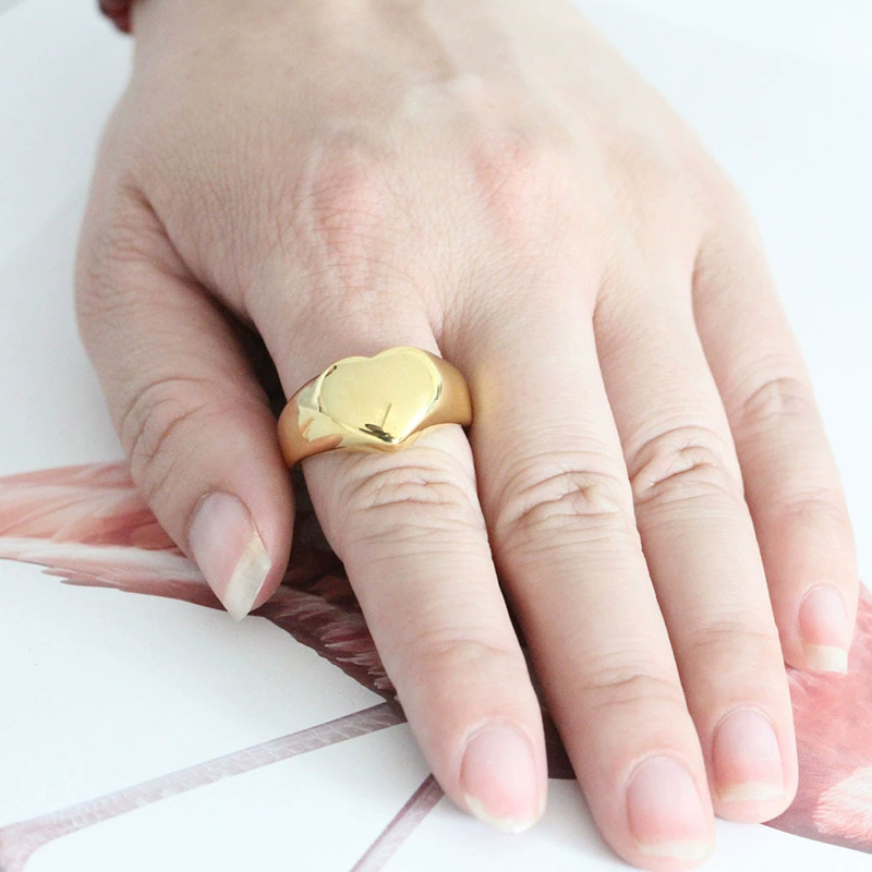 365 Stainless Steel Punk Rock  - Initial Ring Custom recension och pris